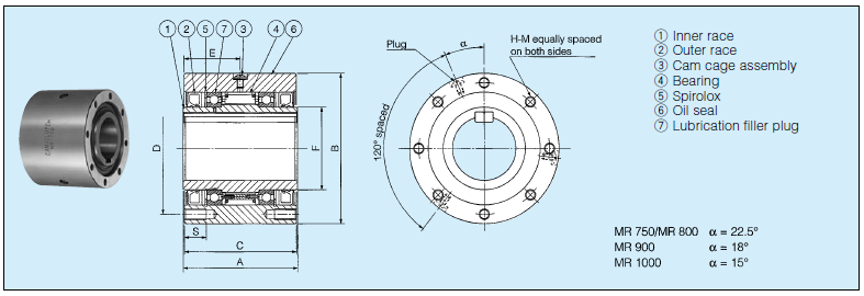 One Direction Backstop Cam Clutch Frizione a camma antiritorno unidirezionale